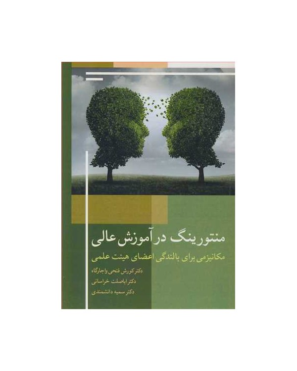 منتورینگ درآموزش عالی مکانیزمی برای بالندگی اعضای هیئت علمی